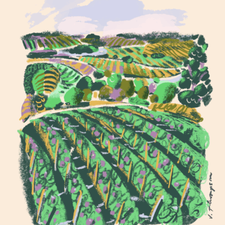 Napa Valley, CA